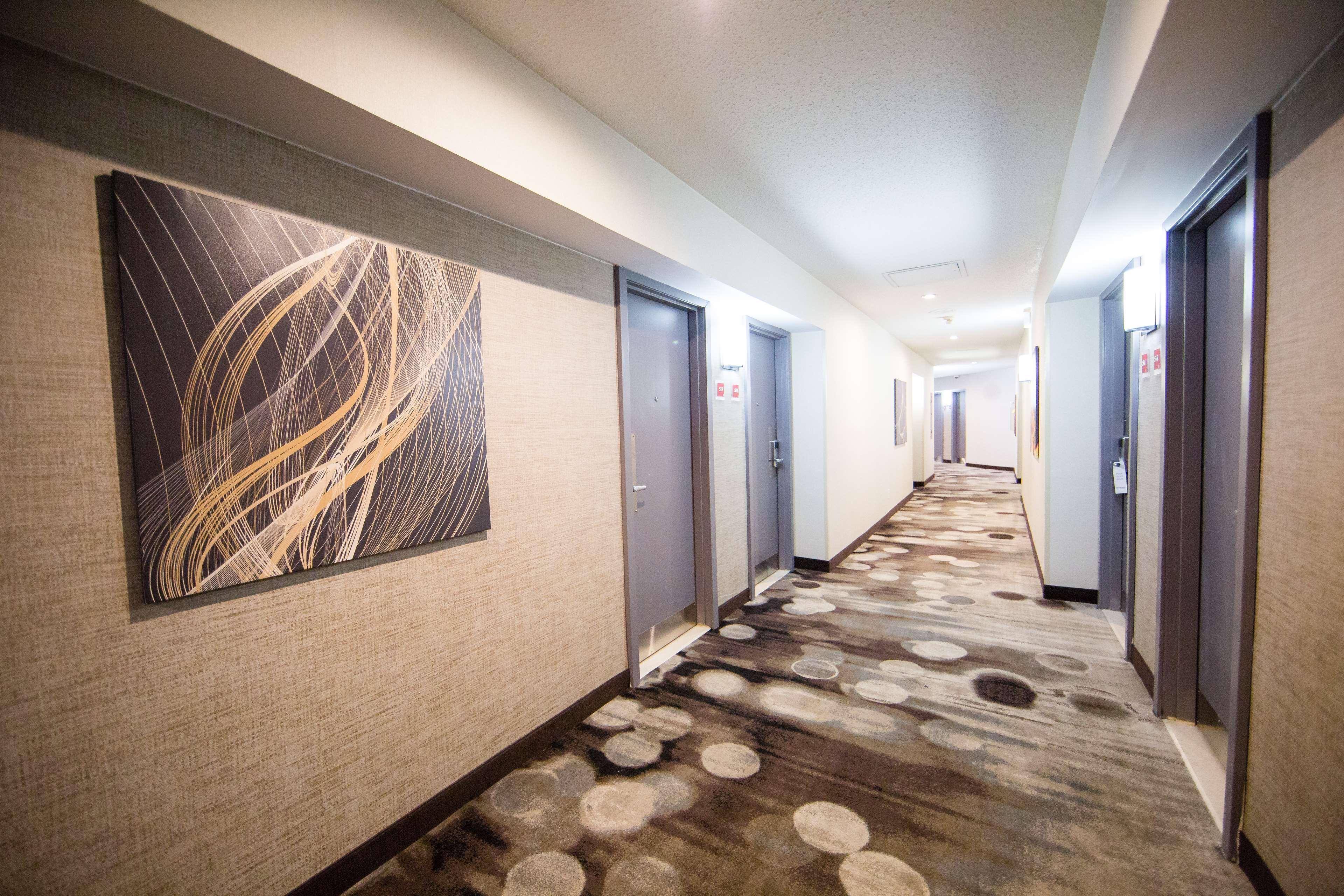 Best Western Plus Ottawa Kanata Hotel And Conference Centre Exteriér fotografie